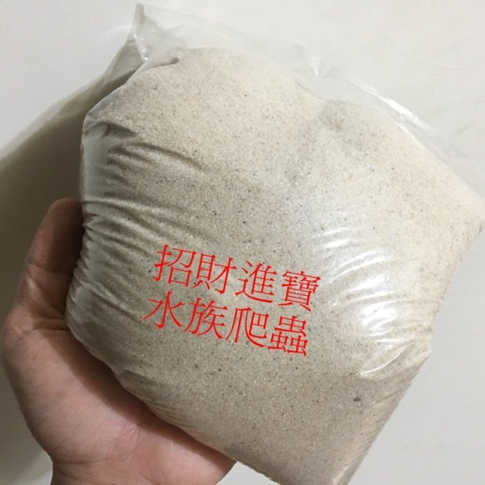 缺貨小包美國進口 爬蟲砂 天然沙漠細砂 底材 鬆獅蜥 王者蜥爬蟲沙 蜥蜴守宮細沙 蛇 蜘蛛 蠍子 老鼠 昆蟲 盒 飼養箱