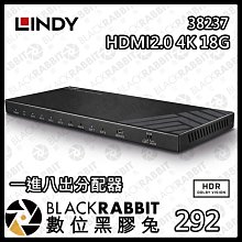 數位黑膠兔【 LINDY 林帝 38237 HDMI2.0 4K 18G 一進八出分配器 】高速傳輸 4K 超高清畫質