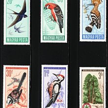 (8 _ 8)~-匈牙利郵票---1966年---受保護的鳥類--- 6 全---加長大型---外拍---雙僅一套