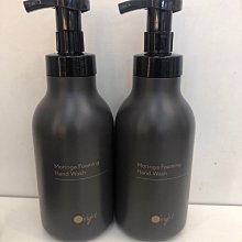 香水倉庫～歐萊德辣木進化洗手慕斯450ml(單瓶特價390元）高雄可自取