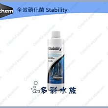 +►► 多彩水族 ◄◄美國Seachem西肯《全效硝化菌 / 100ml 》快速建立消化菌系統，穩定魚缸水質.消除亞硝酸