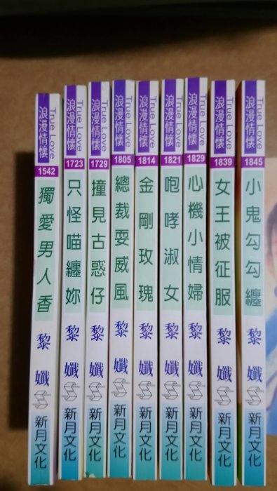 。黎孅小說---遇見古惑仔