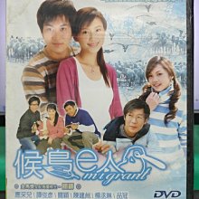 影音大批發-S47-017-正版DVD-台劇【候鳥e人／共20集】-應採兒 譚俊彥(直購價)