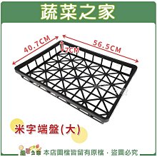 【蔬菜之家滿額免運005-C04】米字端盤(大)長56.5cm*寬40.7cm*高7cm※此商品運費適用宅配※