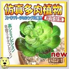 【🐱🐶培菓寵物48H出貨🐰🐹】仿真多肉植物幼仔蓮 特價39元