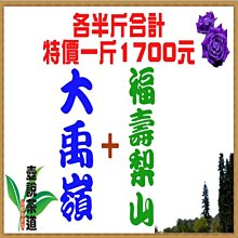 『福壽梨山+大禹嶺』各半斤合計特價一斤1700元※手採高山茶『壺說茶道』大禹嶺 梨山 杉林溪 阿里山 高山茶 烏龍茶