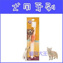 **貓狗大王**美國鐵鎚牌 ARM&HAMMER 犬用牙刷