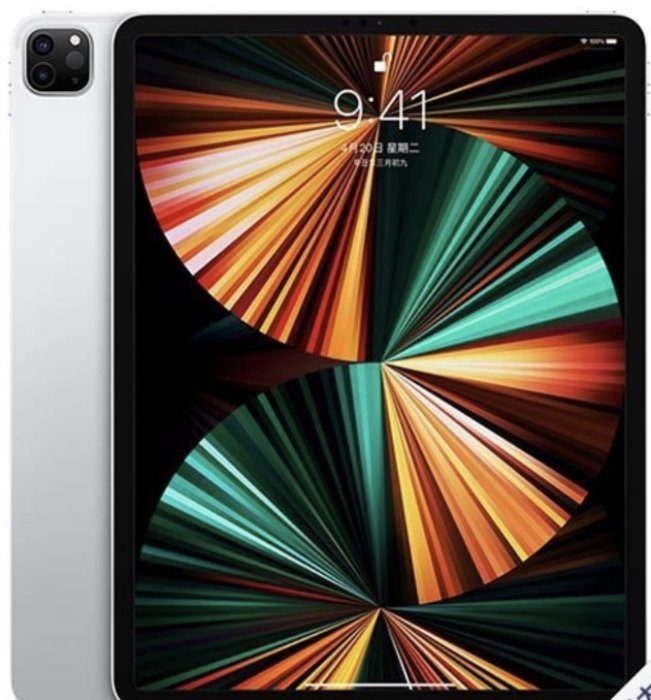 【自售 leo458】iPad Pro 12.9吋256G 高階平板台灣原廠公司貨送～螢幕保貼~6代、5代、4代、3代