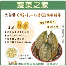 【蔬菜之家滿額免運00G42-1】大包裝G42-1.一口香QQ南瓜種子6克(約80顆) ※不適用郵寄掛號配送