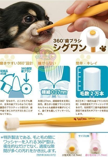 【JPGO】日本進口 sigone 寵物專用 360度牙刷 犬狗牙刷~超小型犬#353 小型犬#315