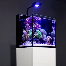 【魚店亂亂賣】以色列Red Sea紅海Max Nano海水超白玻璃背部過LED套缸組(白色)提問享折扣碼