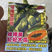 商品縮圖-1