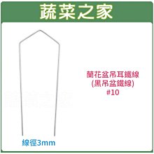 【蔬菜之家滿額免運005-D146】蘭花盆吊耳鐵線(黑吊盆鐵線)#10 (6吋~7.5吋蘭花盆適用)※請選擇宅配