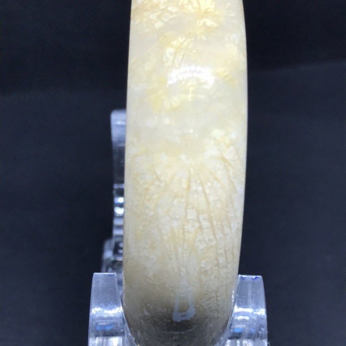 珊瑚玉手鐲 58.8mm 大黃花 - Gelang 珊瑚玉  珊瑚玉 ,58.8 圈大黃花~隨意飾品