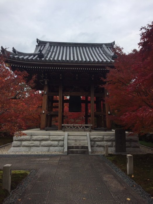 お線香２箱セット 六道珍皇寺“大椿” - お香