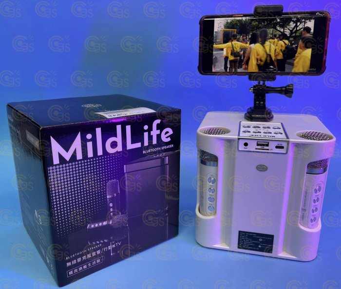 MildLife 無線麥克風音響 YS-203 行動KTV 黑 方塊酥音響 100W 藍芽 Mirco SD USB