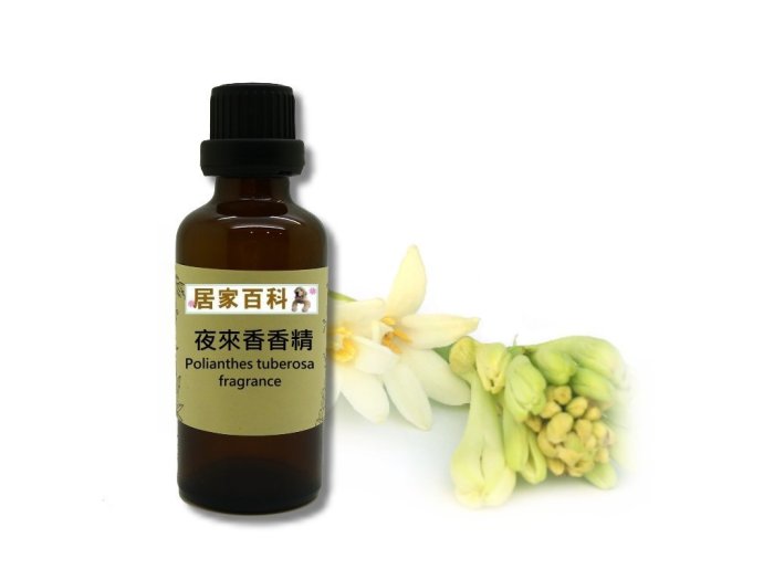 【居家百科】香精 夜來香 50ml - 滴瓶裝 手工皂 香氛 蠟燭 DIY 擴香