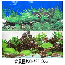 微笑的魚水族☆雙面背景圖【#03/#28白底水草/藍底水草(高度50cm)】單買1尺長售價45元