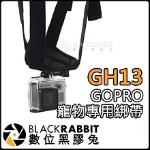數位黑膠兔 GOPRO HERO 11 MAX 【 副廠 GH13 寵物 專用 綁帶 送J型扣 】 腳架 快拆 可調