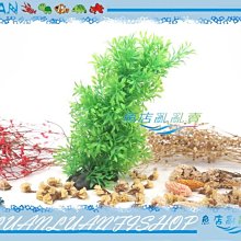 【~魚店亂亂賣~】造景飾品20015超逼真小對葉(假水草)軟枝材質可隨意更換想要的樣式(免CO2)