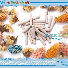 【~魚店亂亂賣~】日本JAQNO阿諾Stick水草根肥40g(散裝)水草根部營養補充