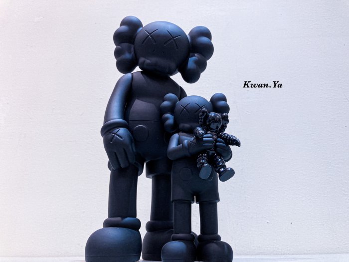 kaws family companion bff ddtstore bearbrick holiday 村上隆 小泉悟