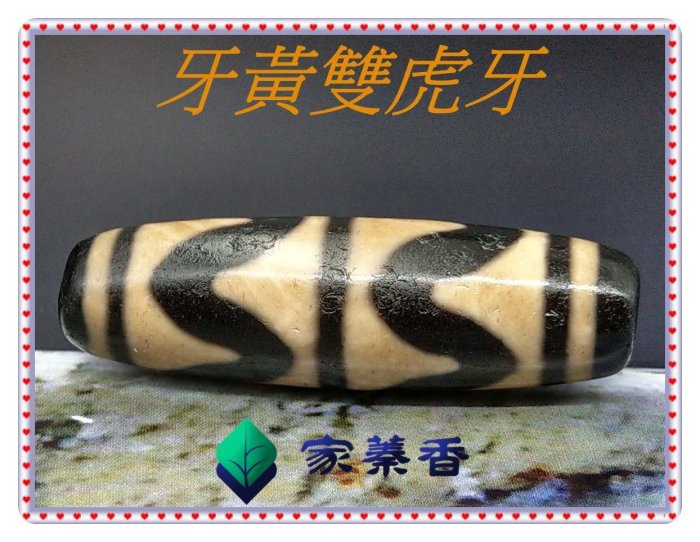 【家蓁香】 西藏老礦 純天然 風化 馬蹄紋  『48*14mm』 精品老件牙黃雙虎牙天珠 男女款項鏈(05)