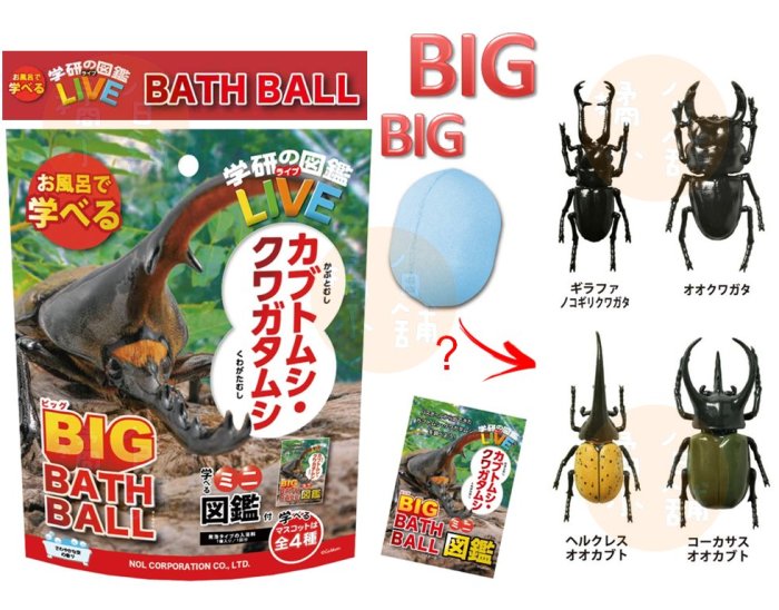 【老爹正品】日本進口 甲蟲 圖鑑 BIG 入浴球 加大版 沐浴球 澡球 Gakken 學研 昆蟲 獨角仙 兜蟲