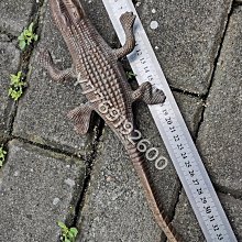 銅鱷魚 品相尺寸如圖 銅器 銅佛像 銅擺件【福善居】167