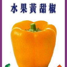 【野菜部屋~】M10 日本水果黃甜椒種子3粒 , 食味佳 , 果肉厚實 , 每包15元~