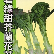 【野菜部屋~】H15 碧綠甜芥蘭花苔種子15公克(約3450顆種子) , 甜度 , 品質 , 口感 , 產量都極佳 ~