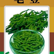 【野菜部屋~】J04 毛豆種子22.5公克 , 有「植物肉」之美名 , 每包15元~