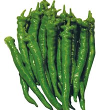 【野菜部屋~】M26 綠珍長型甜辣椒種子0.16公克 , 生育力旺盛 , 可連續採收 , 每包15元 ~