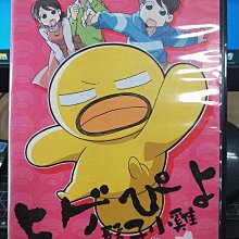 影音大批發-Y34-710-正版DVD-動畫【鬍子小雞 真的是小雞嗎?】-國日語發音(直購價)