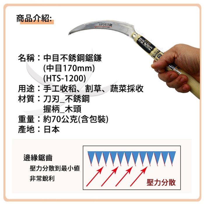 【蔬菜之家滿額免運】中目不銹鋼鋸鎌(中目170mm)(日本進口)※此商品運費請選宅配※