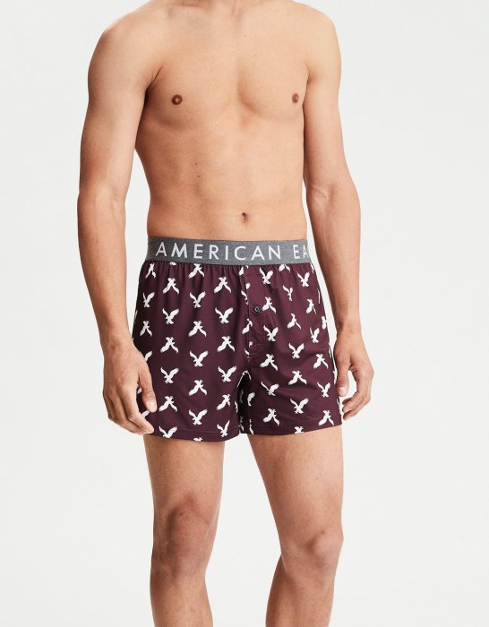 (BJGO) AMERICAN EAGLE_AE EAGLE BOXER 美國AE老鷹Logo標誌四角平口褲/內褲