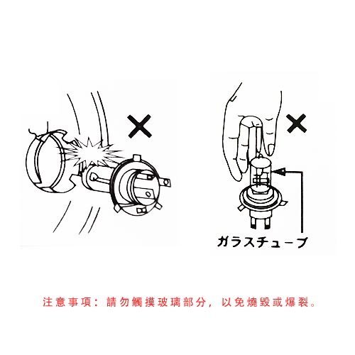 【Max魔力汽車百貨】 APEX 超白光燈泡 (H4 100W) 各大車系遠燈專用 高亮度~媲美HID(特價中~可超取)