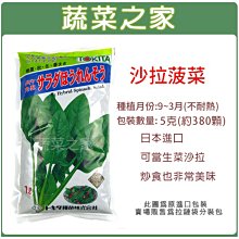 【蔬菜之家滿額免運】A51.沙拉菠菜種子5克(約380顆)//可當生菜沙拉.炒食也非常美味