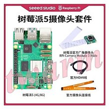 《德源科技》Pi 5 4GB【攝像頭套餐：4GB主板+Camera V3（廣角）+microHDMI線+攝像頭排線】