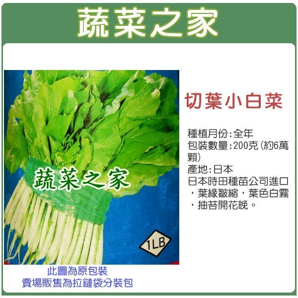 蔬菜之家滿額免運00A05】大包裝.切葉小白菜種子200克(蔬菜種子)※此商品