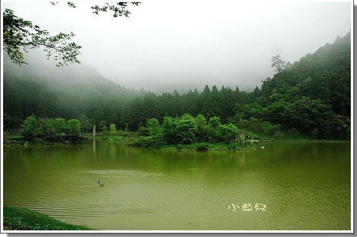 小魚兒╭☆ 宜蘭力麗馬告 ~ 明池山莊/棲蘭山莊 ~ 雙人房平日住宿 ~ 含早餐