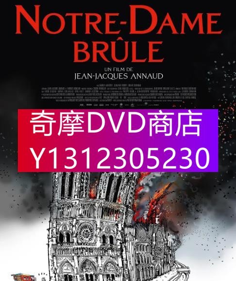 DVD專賣 2022年 電影 燃燒的巴黎聖母院