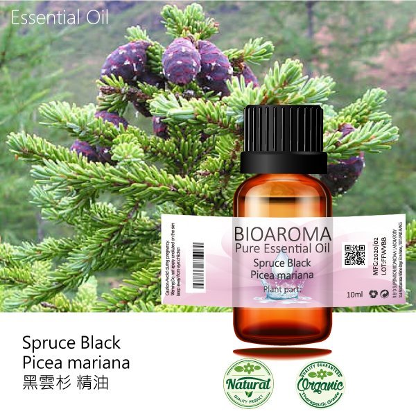 【芳香療網】黑雲杉精油Spruce Black - Picea mariana  100ml