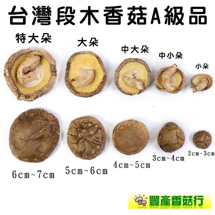 -中大朵台灣段木香菇(四兩裝)A級品- 小包裝，原住民種植，保證是台灣香菇，送禮自用兩相宜【豐產香菇行】。