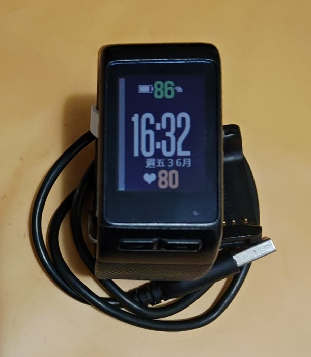 限Y2482485003下標~~[Garmin] 二手 vivoactive HR GPS 心率 運動錶