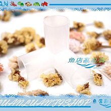 【~魚店亂亂賣~】LUANFISHOPO四分PVC管用3通/直立三通(上部過濾器四分管.4分管用)怪三通