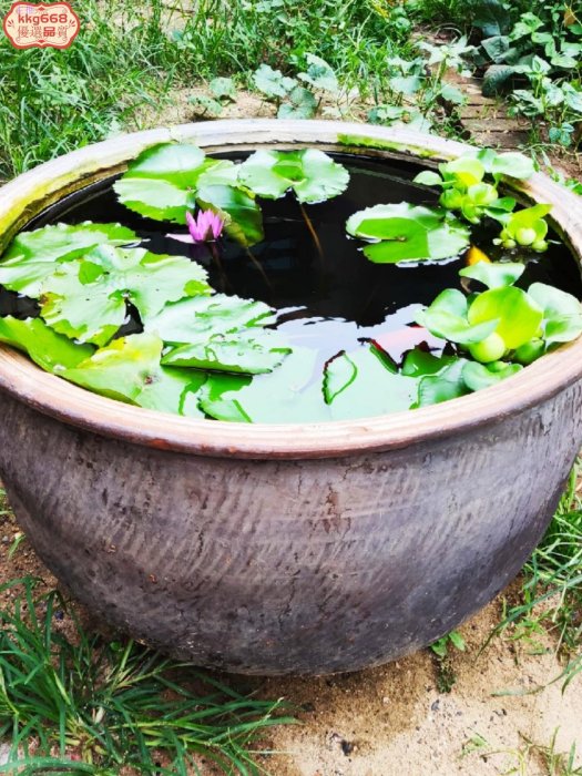 花盆 盆栽 水泥盆 花器 大花盆 水泥花盆老北京金魚盆土陶水泥缸養荷花睡蓮造景花園黑風非陶瓷大水缸