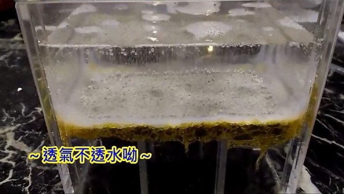 屋頂 結構補強 鋼筋外露 混凝土 漏水 壁癌 非 環氧樹脂 EPOXY 補強