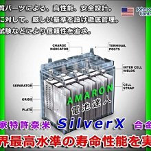 【中壢電池】愛馬龍 電池 汽車電瓶 AMARON 50B19R 割草機 消防幫浦 船釣 36B20R 電動捲線器 發電機