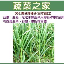 【蔬菜之家滿額免運】D05.蔥仔蒜種子100顆(夏天種植，植株較細.日本進口韭蔥.韭蒜吃起來像韭菜又帶有洋蔥的甜味)